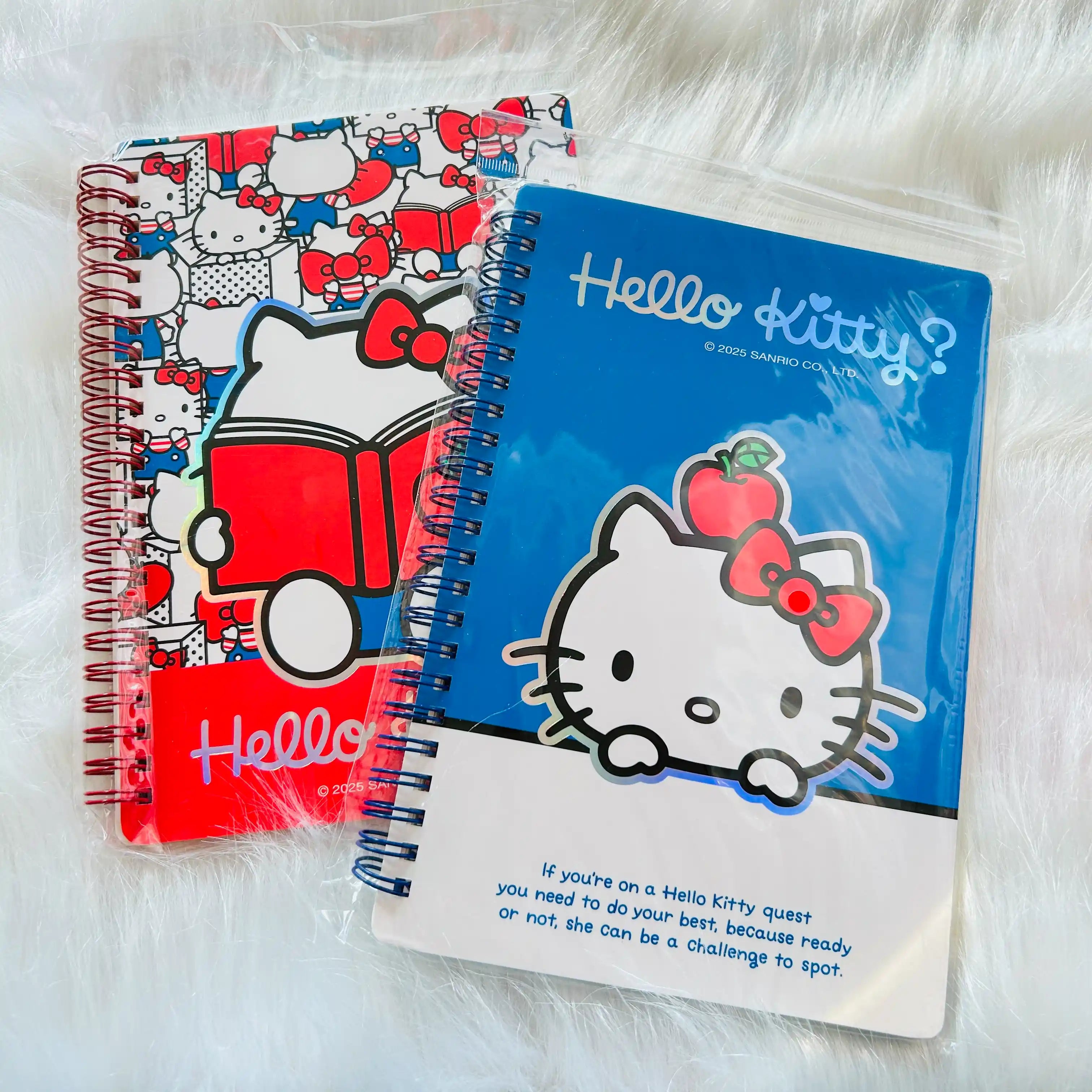 Two Hello Kitty spiral notebooks. One notebook has a blue cover with a large Hello Kitty illustration and the text 'Hello Kitty?'.